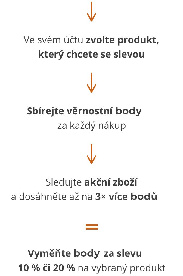 VP Description CZ