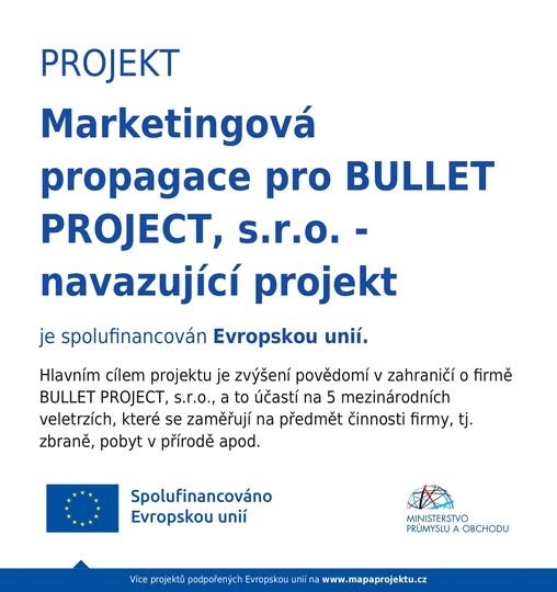 Projekt BULLET PROJECT 1